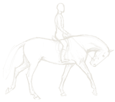 Sketch study of a dressage horse and rider moving with light, effortless grace