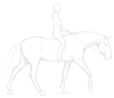 Sketch study of a dressage horse and rider moving in a balanced, rhythmic trot